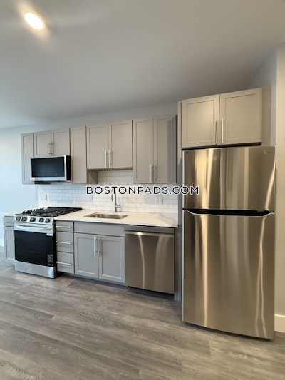 Brighton Apartment for rent 1 Bedroom 1 Bath Boston - $3,600