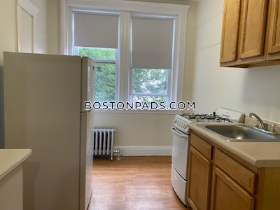 Brighton Apartment for rent 2 Bedrooms 1 Bath Boston - $2,925 No Fee