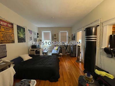 Allston/brighton Border Apartment for rent Studio 1 Bath Boston - $2,125 No Fee