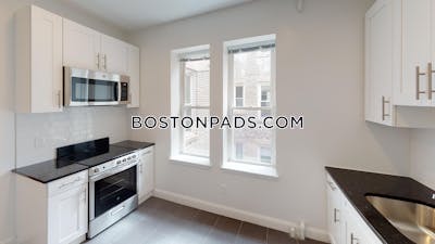 Brighton Apartment for rent 1 Bedroom 1 Bath Boston - $2,650 No Fee