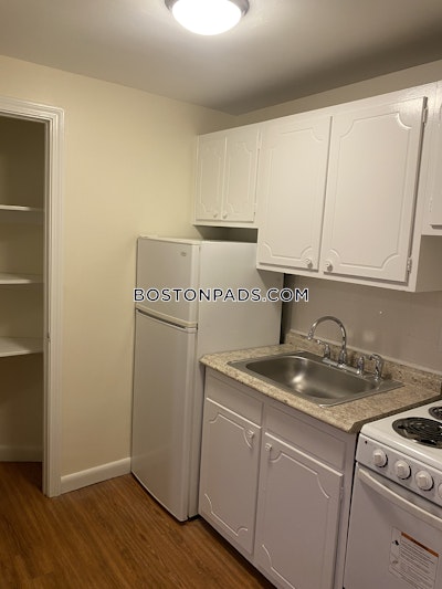 Allston/brighton Border Apartment for rent 1 Bedroom 1 Bath Boston - $2,100 No Fee