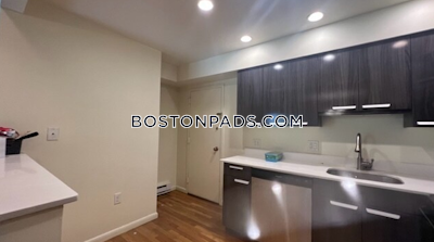 Newton Apartment for rent Studio 1 Bath  Chestnut Hill - $2,600
