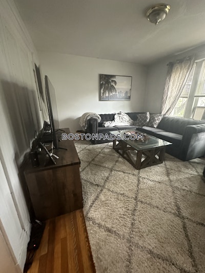 Brighton Apartment for rent 1 Bedroom 1 Bath Boston - $2,400