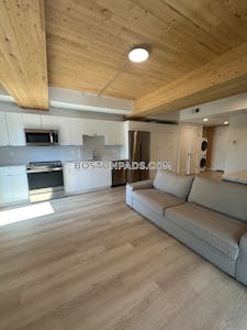 South End Apartment for rent Studio 1 Bath Boston - $2,400