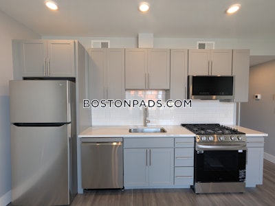 Brighton Apartment for rent 1 Bedroom 1 Bath Boston - $3,650 No Fee