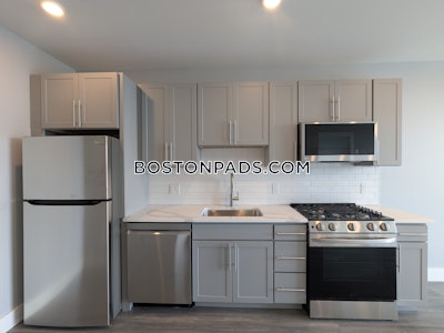 Brighton Apartment for rent 1 Bedroom 1 Bath Boston - $3,600 No Fee