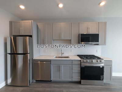 Brighton Apartment for rent 1 Bedroom 1 Bath Boston - $3,500 No Fee