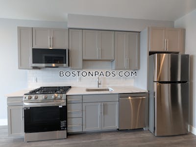 Brighton Apartment for rent 1 Bedroom 1 Bath Boston - $3,600 No Fee