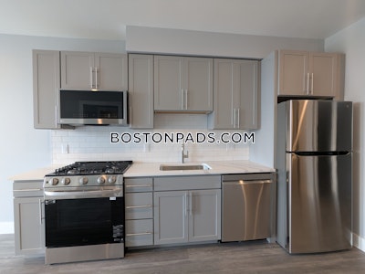 Brighton Apartment for rent 1 Bedroom 1 Bath Boston - $3,600 No Fee