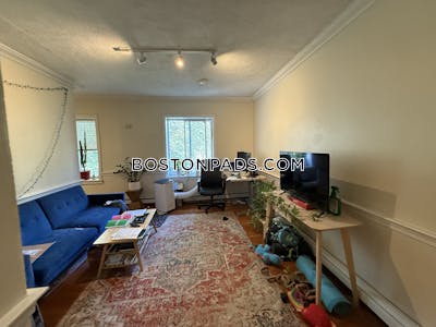 Mission Hill Apartment for rent 1 Bedroom 1 Bath Boston - $2,400