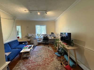 Mission Hill Apartment for rent 1 Bedroom 1 Bath Boston - $2,400