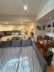 Brookline Apartment for rent 1 Bedroom 1 Bath Boston University - $2,175 No Fee