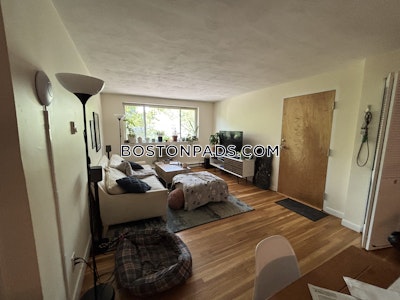 Brighton 2 Beds 1 Bath Boston - $3,100 No Fee