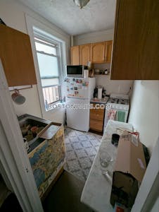 Brookline Apartment for rent 1 Bedroom 1 Bath  Brookline Village - $2,500