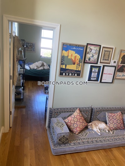 Roxbury 1 Bed 1 Bath BOSTON Boston - $1,950