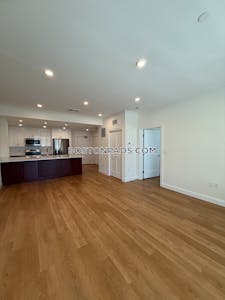 Brookline Apartment for rent 1 Bedroom 1 Bath  Chestnut Hill - $3,380 No Fee
