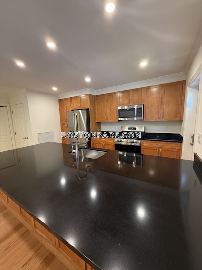 Brookline Apartment for rent 3 Bedrooms 2.5 Baths  Chestnut Hill - $5,895 No Fee