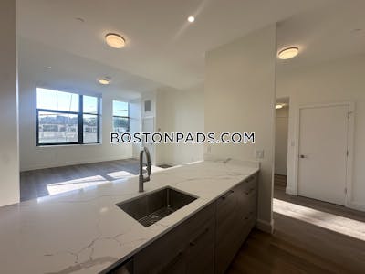 Allston 1 bedroom 1 baths in BOSTON Boston - $3,450 No Fee
