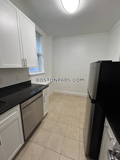 Brighton Apartment for rent 1 Bedroom 1 Bath Boston - $2,595 No Fee
