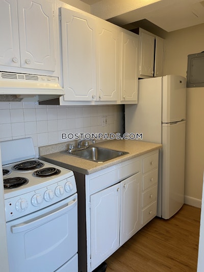 Allston/brighton Border Apartment for rent 1 Bedroom 1 Bath Boston - $2,100