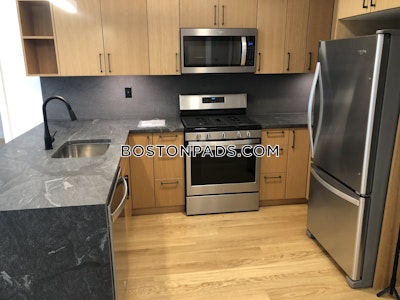 Allston Apartment for rent 2 Bedrooms 2 Baths Boston - $4,975 No Fee
