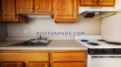Allston Apartment for rent 1 Bedroom 1 Bath Boston - $3,000 No Fee