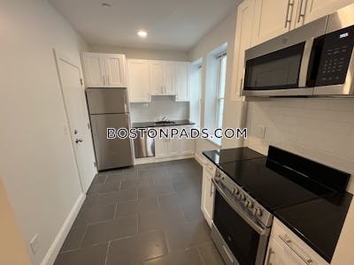 Brighton Apartment for rent 1 Bedroom 1 Bath Boston - $2,725 No Fee