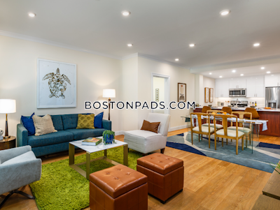 Brookline Apartment for rent 1 Bedroom 1 Bath  Chestnut Hill - $2,995 No Fee