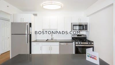 West End Apartment for rent Studio 1 Bath Boston - $2,895