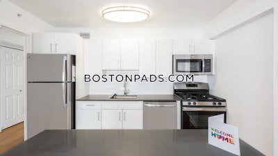 West End Apartment for rent Studio 1 Bath Boston - $2,895