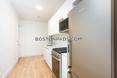 Brighton Apartment for rent 1 Bedroom 1 Bath Boston - $2,800 No Fee