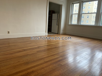 Allston/brighton Border Apartment for rent Studio 1 Bath Boston - $2,000