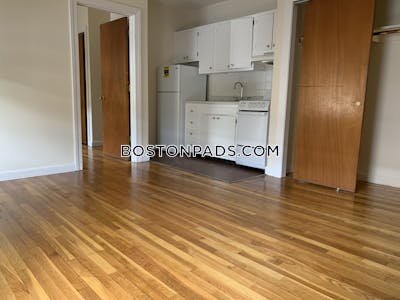 Brighton Apartment for rent 1 Bedroom 1 Bath Boston - $2,100