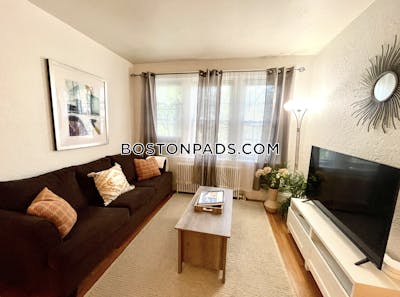 Brighton Apartment for rent 1 Bedroom 1 Bath Boston - $3,995