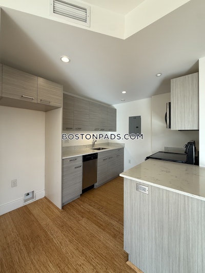 Allston Apartment for rent 2 Bedrooms 2 Baths Boston - $4,600 No Fee