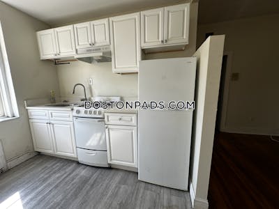 Allston/brighton Border Apartment for rent 1 Bedroom 1 Bath Boston - $1,950 No Fee