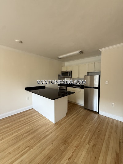 Brookline Apartment for rent 1 Bedroom 1 Bath  Coolidge Corner - $2,840 No Fee
