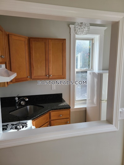 Allston Apartment for rent 1 Bedroom 1 Bath Boston - $2,380