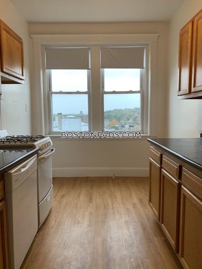 Brighton Apartment for rent 1 Bedroom 1 Bath Boston - $2,225 No Fee