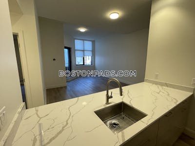 Allston Apartment for rent 2 Bedrooms 2 Baths Boston - $3,250 No Fee