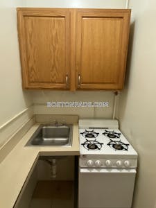 Northeastern/symphony Apartment for rent Studio 1 Bath Boston - $3,000 No Fee