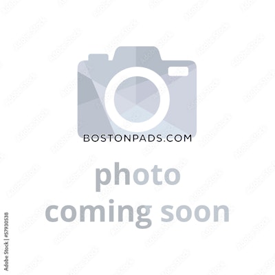 Allston Apartment for rent 2 Bedrooms 1 Bath Boston - $2,900