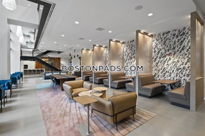 South End 2 bedroom 2 baths Luxury in BOSTON Boston - $6,612 No Fee