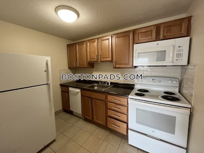 Allston/brighton Border Apartment for rent 2 Bedrooms 1 Bath Boston - $2,800 No Fee